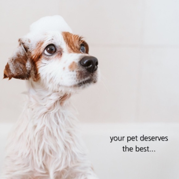 Vegan Handmade Pet Shampoo Paw - Picture 7 of 13